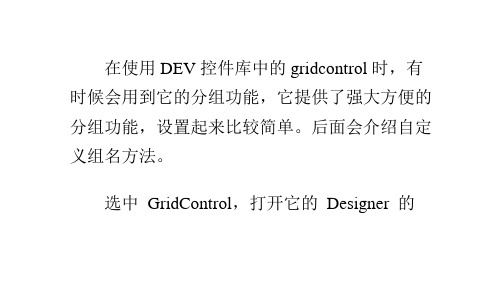DEVEXPRESSGridControl自定义分组组名