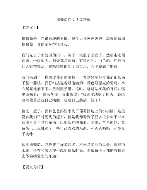 摘葡萄作文3篇精选