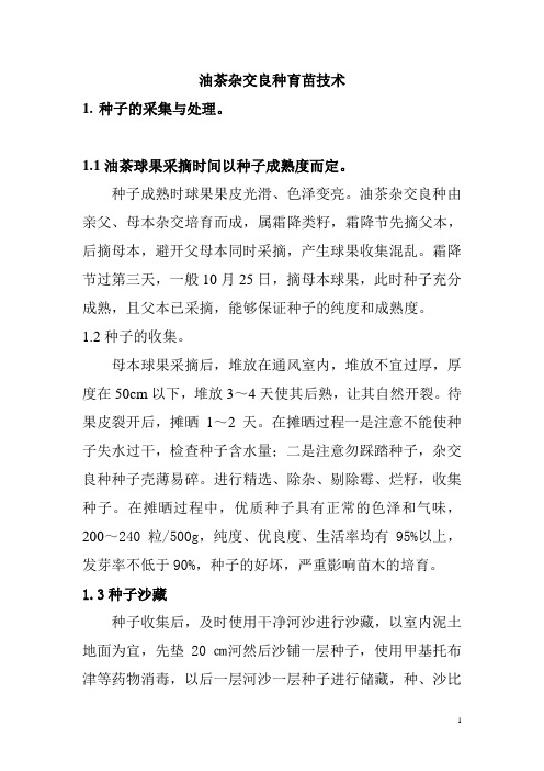 油茶杂交种子育苗技术