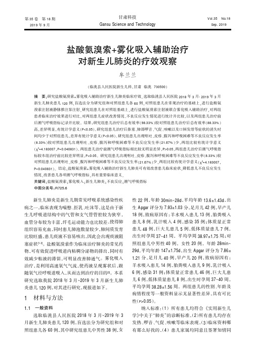盐酸氨溴索+雾化吸入辅助治疗对新生儿肺炎的疗效观察