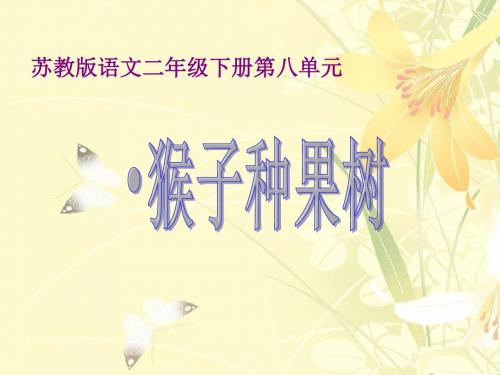 《猴子种果树》课件