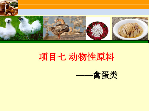 动物性原料