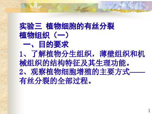 植物细胞的有丝分裂ppt课件