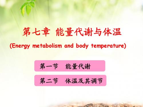 天津医科大学生理学 能量代谢和体温调节
