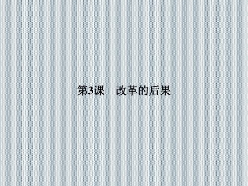2013年高二历史优质课件6.3改革的后果(人教版选修1)