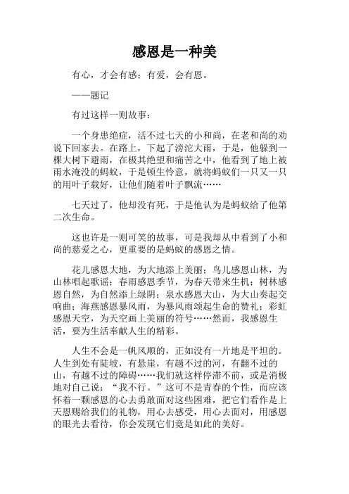 高二作文+感恩是一种美