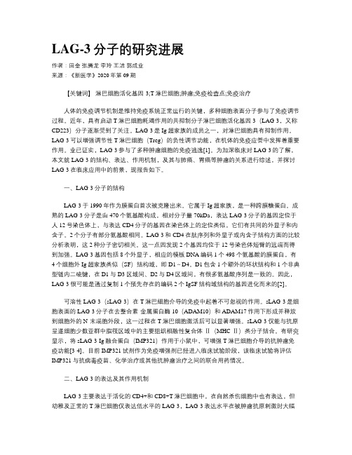 LAG-3分子的研究进展