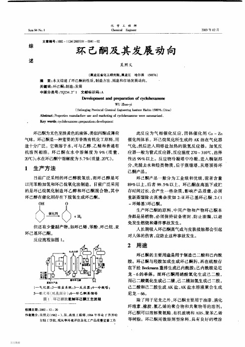 环己酮及其发展动向