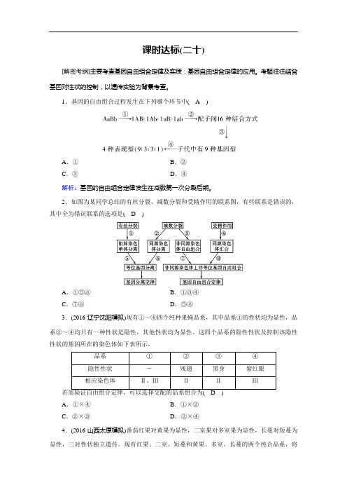 高考生物一轮复习课时训练：第五章 遗传的基本定律与伴性遗传 课时达标 含答案