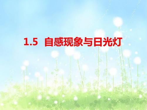1.5《自感现象与日光灯》(沪科版选修3-2)ppt课件