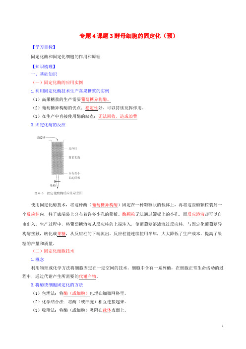 高中生物专题4酶的研究与应用课题3酵母细胞的固定化(预)(含解析)新人教版选修1