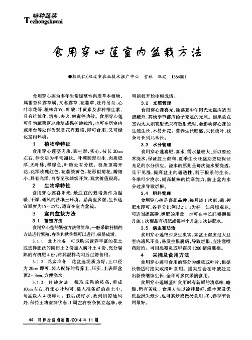 食用穿心莲室内盆栽方法
