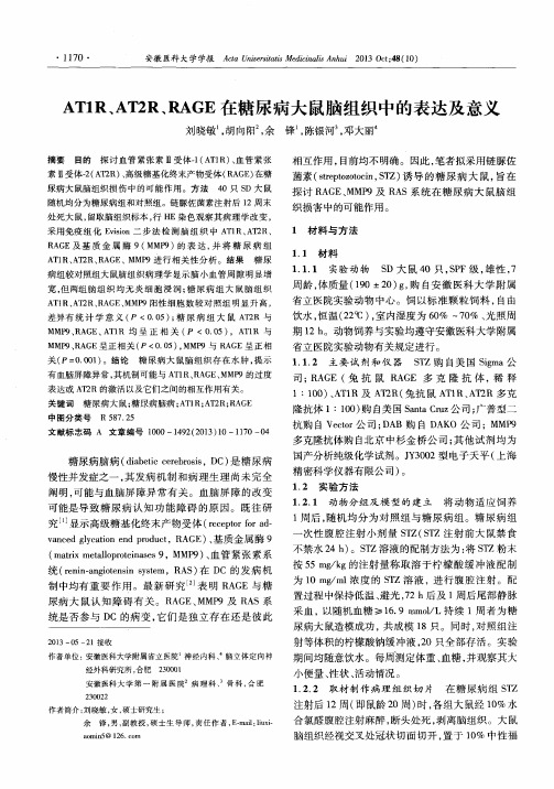 AT1R、AT2R、RAGE在糖尿病大鼠脑组织中的表达及意义
