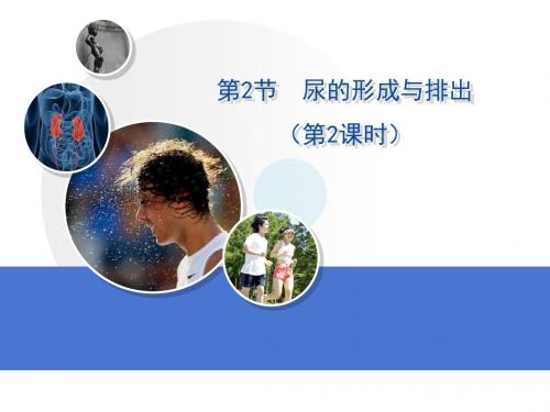 北京中考生物复习ppt(16份) 人教版15