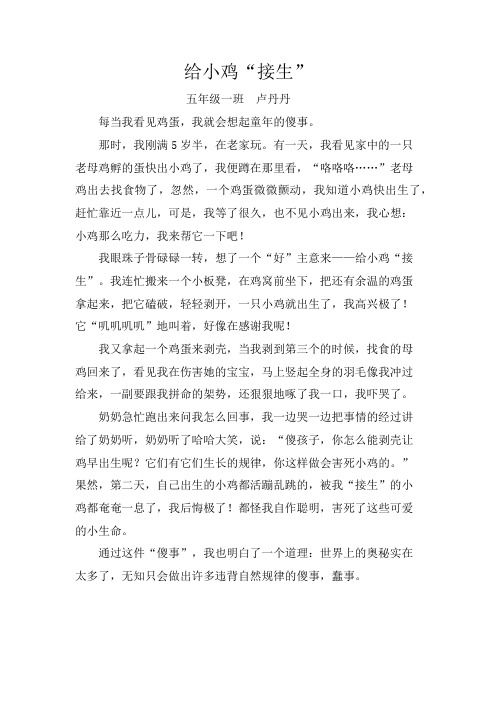 给小鸡“接生”