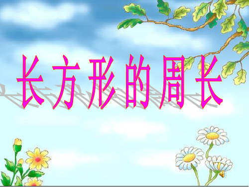 三年级上册数学课件- 长方形的周长优质PPT西师大版(共25页)