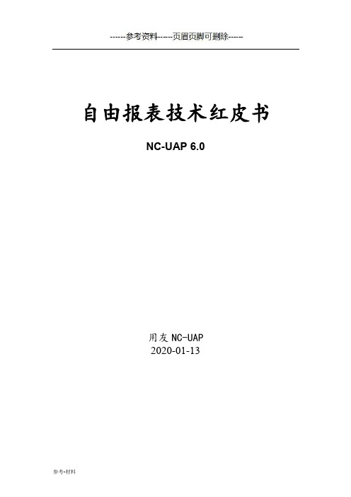 NCV6-自由报表红皮书(参考仅供)