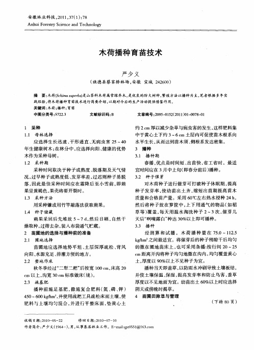 木荷播种育苗技术