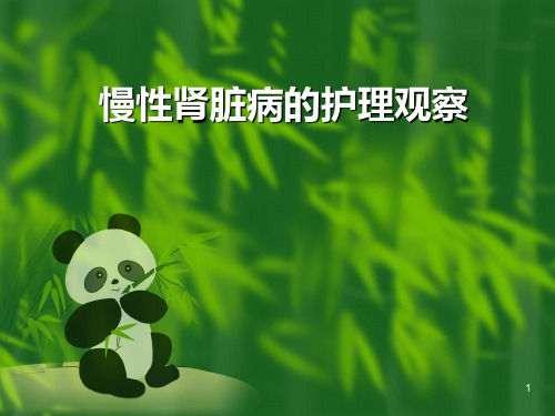 慢性肾脏病的护理观察ppt课件