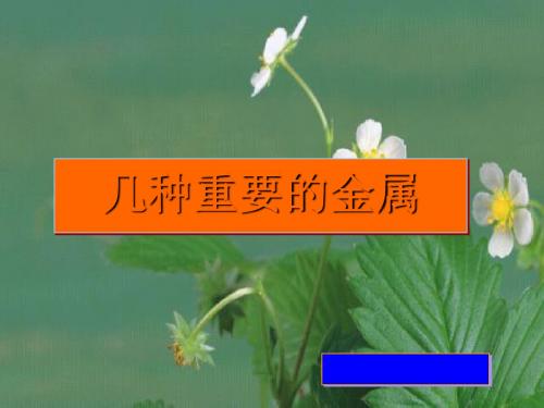 化学课件《几种重要的金属》优秀ppt7 人教课标版