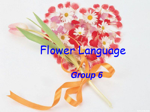 language_of_flowers_花语英文ppt - 副本