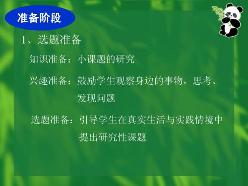 马克思主义基本原理概论社会实践报告ppt