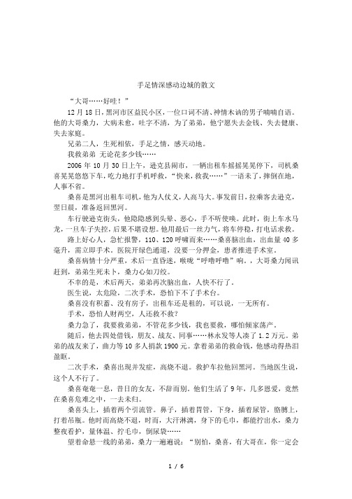 手足情深感动边城的散文