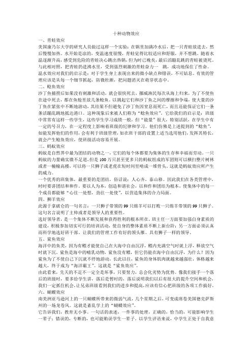 十种动物效应