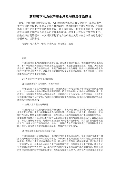 新形势下电力生产安全风险与应急体系建设
