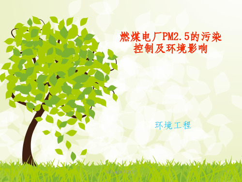 燃煤电厂的污染控制及环境影响ppt课件