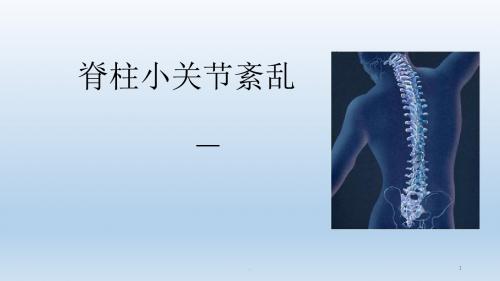 脊柱小关节紊乱ppt课件