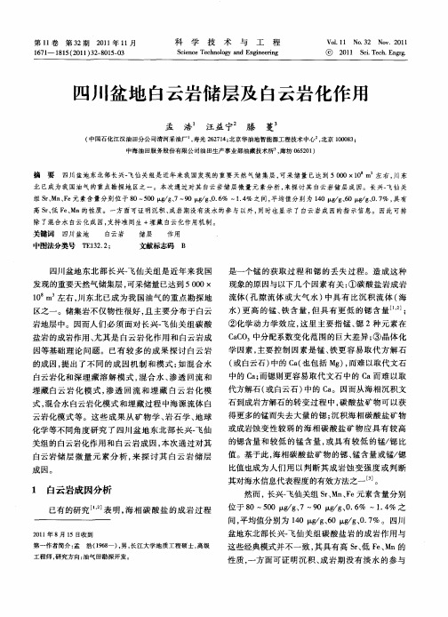 四川盆地白云岩储层及白云岩化作用