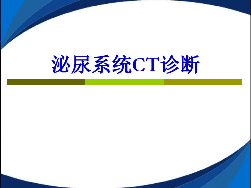 泌尿系统CT