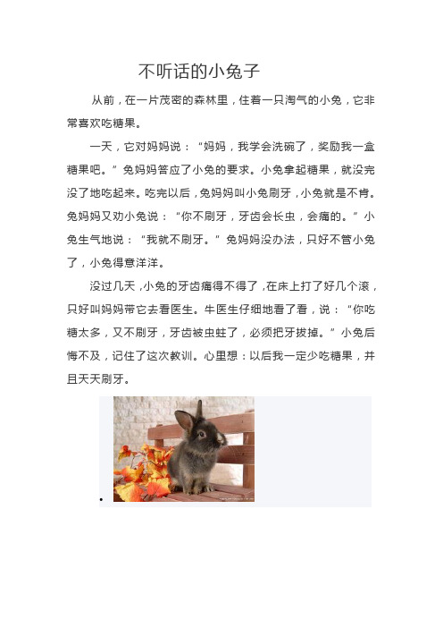 不听话的小兔子