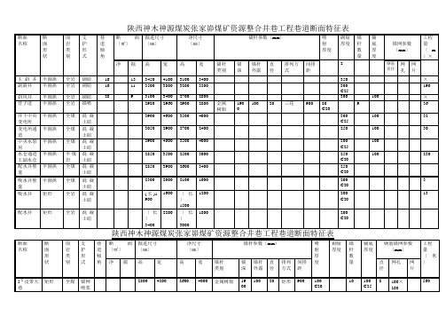 陕西神木神源煤炭张家峁煤矿资源整合井巷工程巷道断面特征表