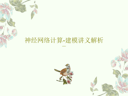 神经网络计算-建模讲义解析135页PPT
