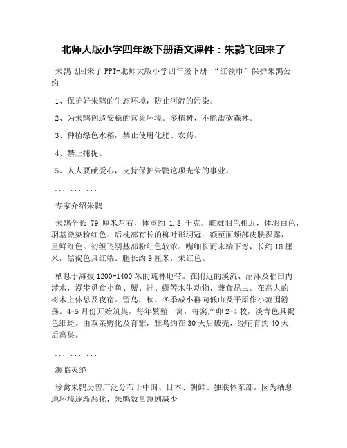 北师大版小学四年级下册语文课件：朱鹮飞回来了