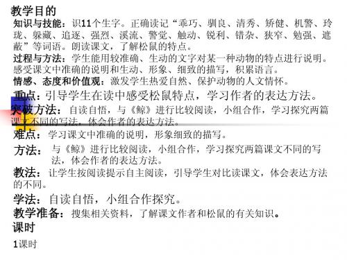 小学五年级上册语文第十课松鼠PPT课件2