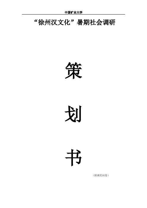 暑期社会实践---徐州汉文化调研