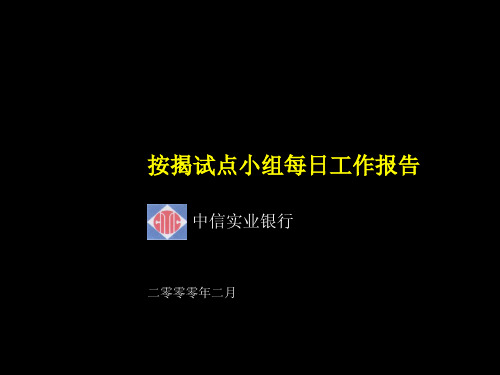 麦肯锡—中信银行—按揭试点小组每日工作报告mortgage daily report