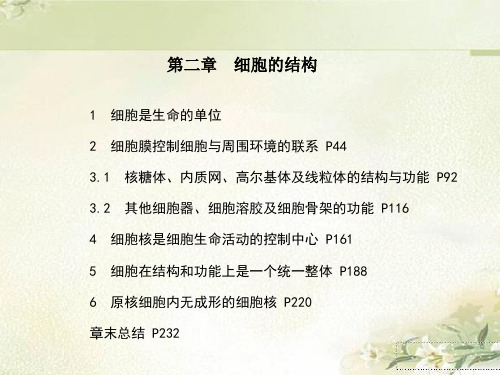 新教材浙科版高中生物必修1分子与细胞第二章细胞的结构 精品教学课件