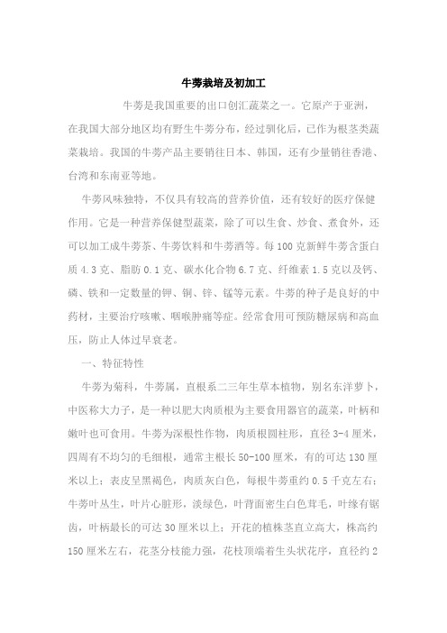 牛蒡栽培及初加工