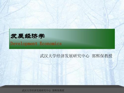 发展经济学_高教版_武汉大学郭熙保_ch01-04