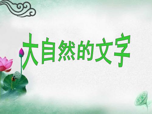 六年级上册语文课件-课文24 大自然的文字｜苏教版(共13张PPT)