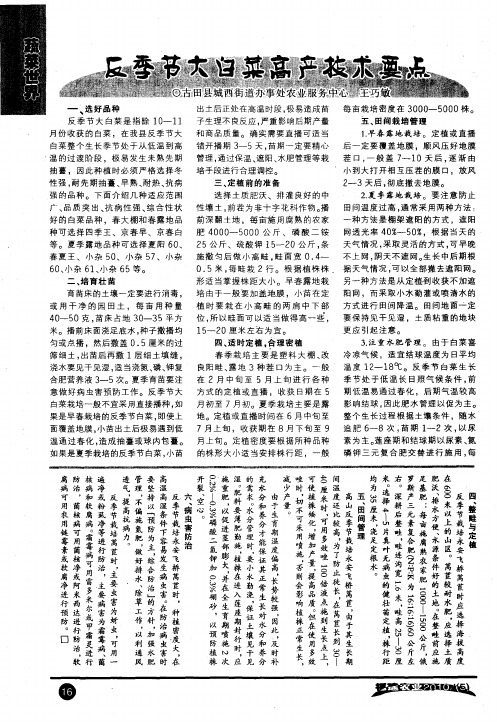 永安飞桥莴苣高山反季节栽培技术