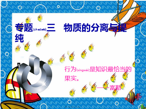 中考化学复习专题三物质的分离与提纯