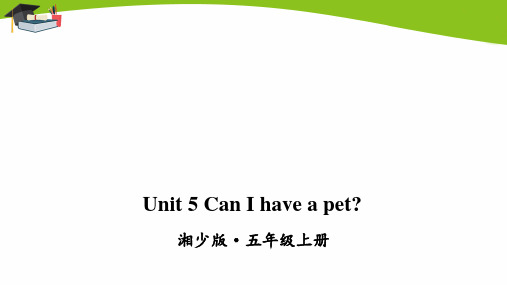 湘少五年级上册英语Unit 5  Can I have a pet