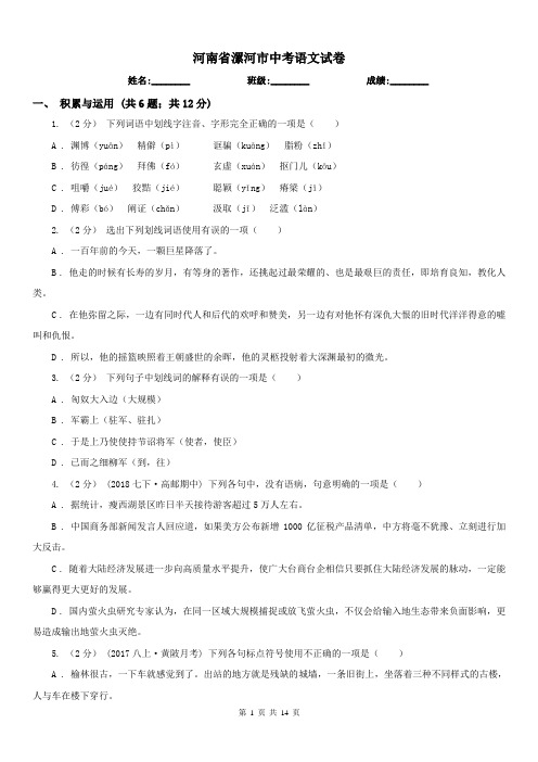 河南省漯河市中考语文试卷