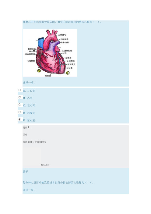 2020.12电大人体解剖生理学-形成性考试二