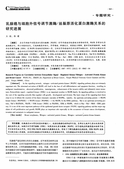 乳腺癌与细胞外信号调节激酶／丝裂原活化蛋白激酶关系的研究进展